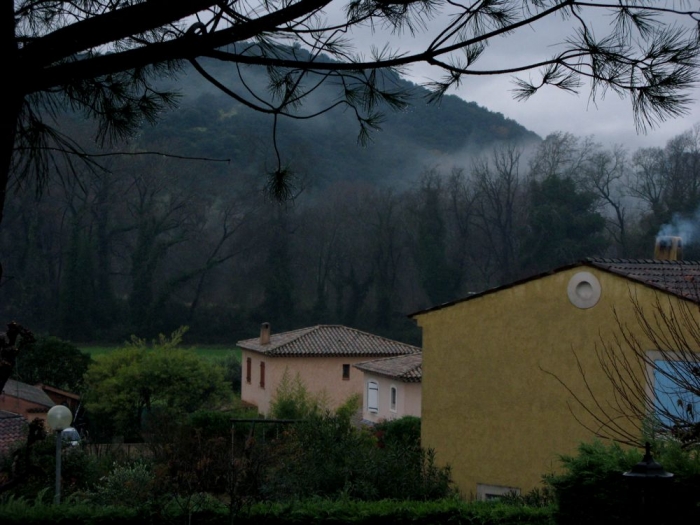 matin d'hiver / winter morning