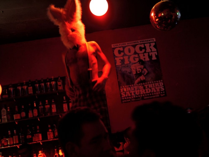 lapin / bunny